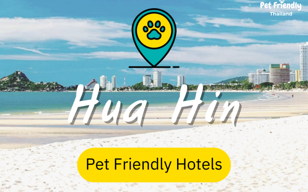 Pet Friendly Hotels in Hua Hin 2022