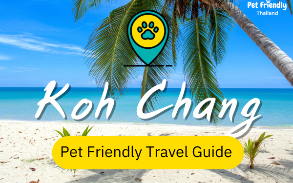 Pet Friendly Travel Guide Koh Chang 2022