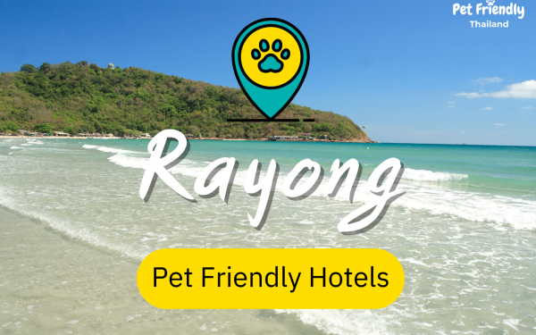 Pet Friendly Hotels in Rayong 2022