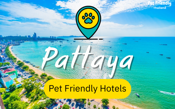 Pet Friendly Hotels in Pattaya 2022