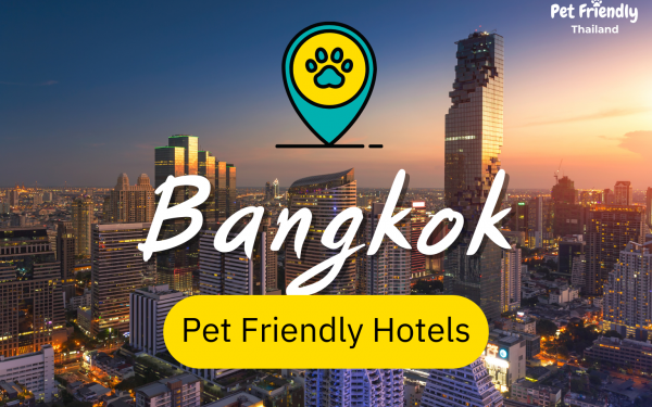 Pet Friendly Hotel in Bangkok 2022